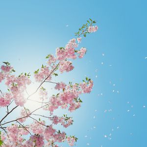 人妻激情一区二区
