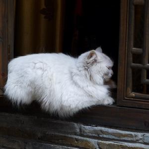 人妻激情一区二区
